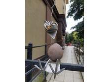 IMG 20250805 130522.jpg