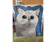 IMG 20250805 141321.jpg