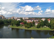 IMG 20250731 124926.jpg