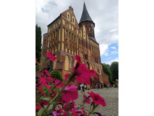 IMG 20250801 171505.jpg