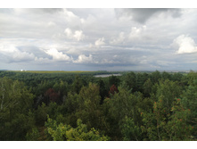 IMG 20250804 180329.jpg