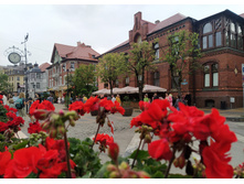 IMG 20250805 125802.jpg