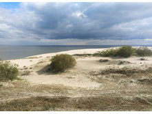 IMG 20250804 153606.jpg