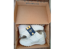 ���� 36 ����� ���� , �� ��� ����