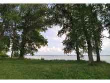 IMG 20250803 152825.jpg