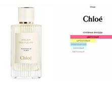 Magnolia Alba Chloé 150��