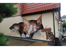 IMG 20250805 153514.jpg