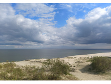 IMG 20250804 153523.jpg