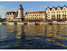 IMG 20250731 190748.jpg