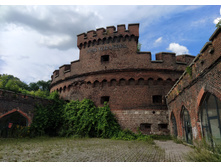 IMG 20250731 152844.jpg