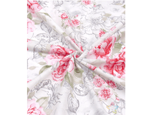 ������ (������� 220 ��)2.png