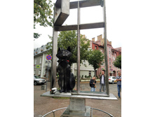 IMG 20250805 145953.jpg