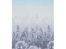 ����� (������ 220 ��).���� 350 ���.