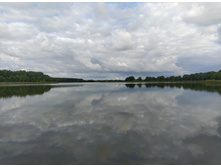 IMG 20250804 173428.jpg