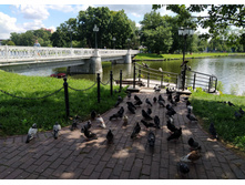 IMG 20250731 122921.jpg