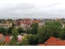 IMG 20250805 143527.jpg