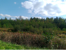 20250906 ������-200 ������ ���������� 133901.jpg