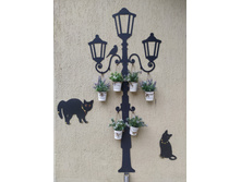 IMG 20250805 130443.jpg