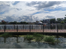 IMG 20250731 132455.jpg