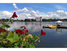 IMG 20250731 133021.jpg