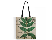 �����-������, ���.Rui-341