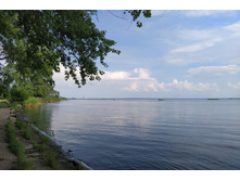 IMG 20250803 152925.jpg