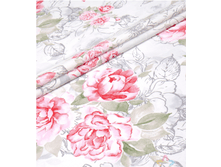 ������ (������� 220 ��)1.png