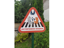 IMG 20250805 130752.jpg