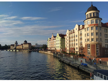 IMG 20250731 185751.jpg