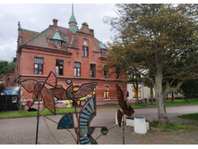 IMG 20250805 161132.jpg