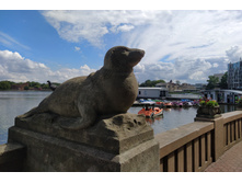 IMG 20250731 132944.jpg