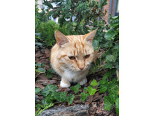 IMG 20250805 145651.jpg