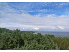 IMG 20250804 153316.jpg