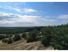 IMG 20250804 152126.jpg