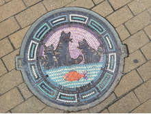 IMG 20250805 141156.jpg