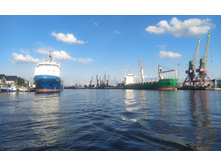 IMG 20250731 180543.jpg