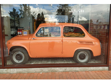 IMG 20250806 160653.jpg