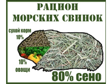 U8qnkN3lZ1ySBhEnkIaAU YiUG8cgNolynNLi2OQ8CcUQ2kKWGUfNhGkbqsnNJCW8S6uo6U9gsP36Iqsm8hD-82i.jpg