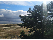 IMG 20250804 152749.jpg