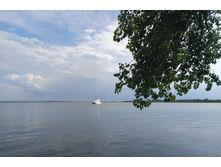 IMG 20250803 152917.jpg