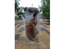 IMG 20250805 145318.jpg