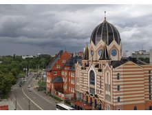 IMG 20250806 161516.jpg