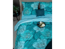 ���� ������ 220 �� ��������� 125 ��/�2 ��������� �����