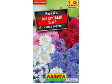 ������� �������� ��� / ������.jpg