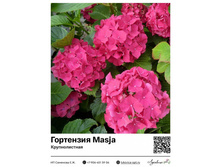 ���� �� 02.03.��������� �� ������ 2026!�����,����������,��������,�����,�����,�������,���������,���������,���������,�����,�����,���������,�����,��������,������������ ������������,��������,�����,����,������,���������,���������� ����� �� ���������-6.