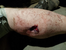 Photo 2025-06-11 09-12-18.jpg