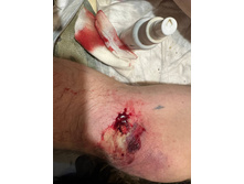 Photo 2025-07-07 08-29-14.jpg