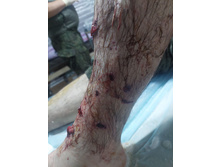 Photo 2025-09-16 19-32-04.jpg