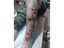 Photo 2025-09-16 19-32-04 (3).jpg