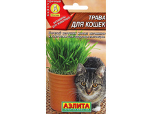 ������ "����� ��� �����", �/�, 20 �